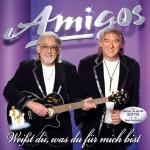 03-08-2010 - Bumblebee-Promotion - amigos charts - Cover.jpg